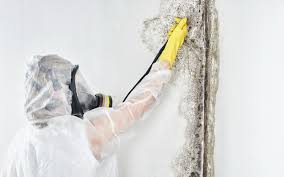 Best Mold Remediation for Healthcare Facilities  in Kingman, AZ